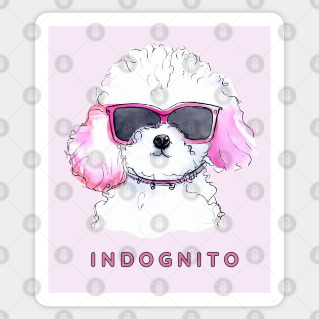 Bichon Frise' Indognito Sticker by ZogDog Pro